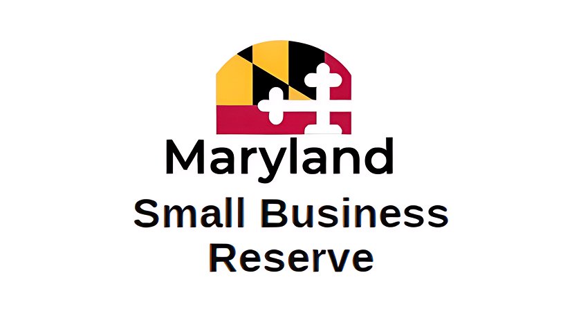 MSBR Logo Certification The Lead Xperts